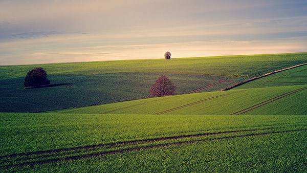 Soil Testing and Analysis