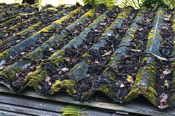 Asbestos sheeting