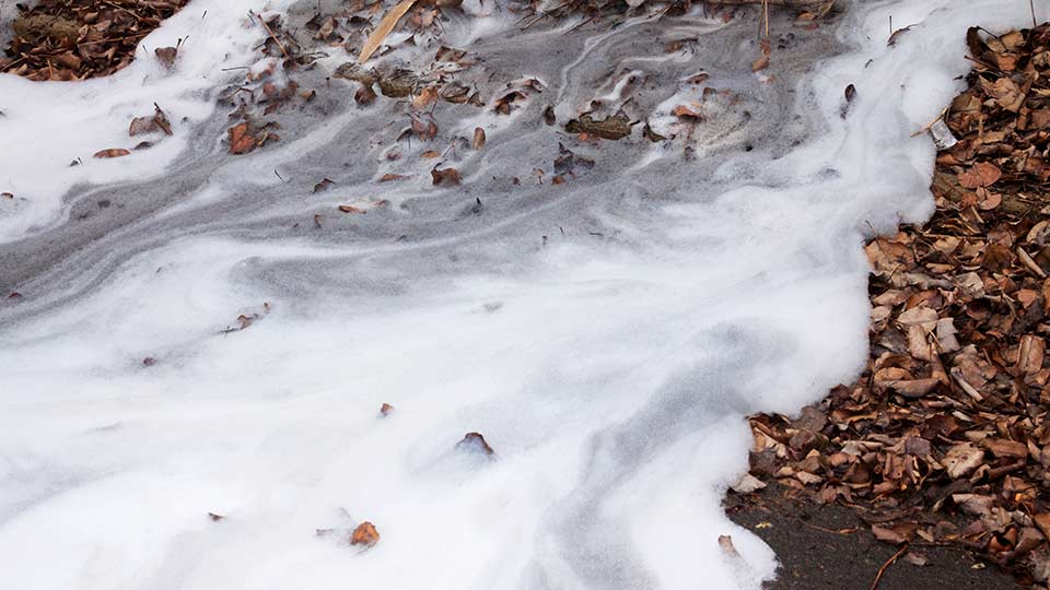 Foam pouring over leaves